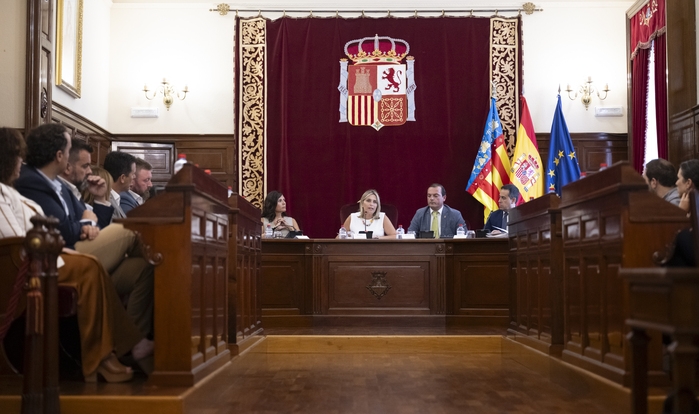 La Diputació sol·licitarà al Govern d'Espanya la declaració de zona afectada greument per als municipis que han patit danys per les pluges, el graníssol i el fort vent del passat dissabte