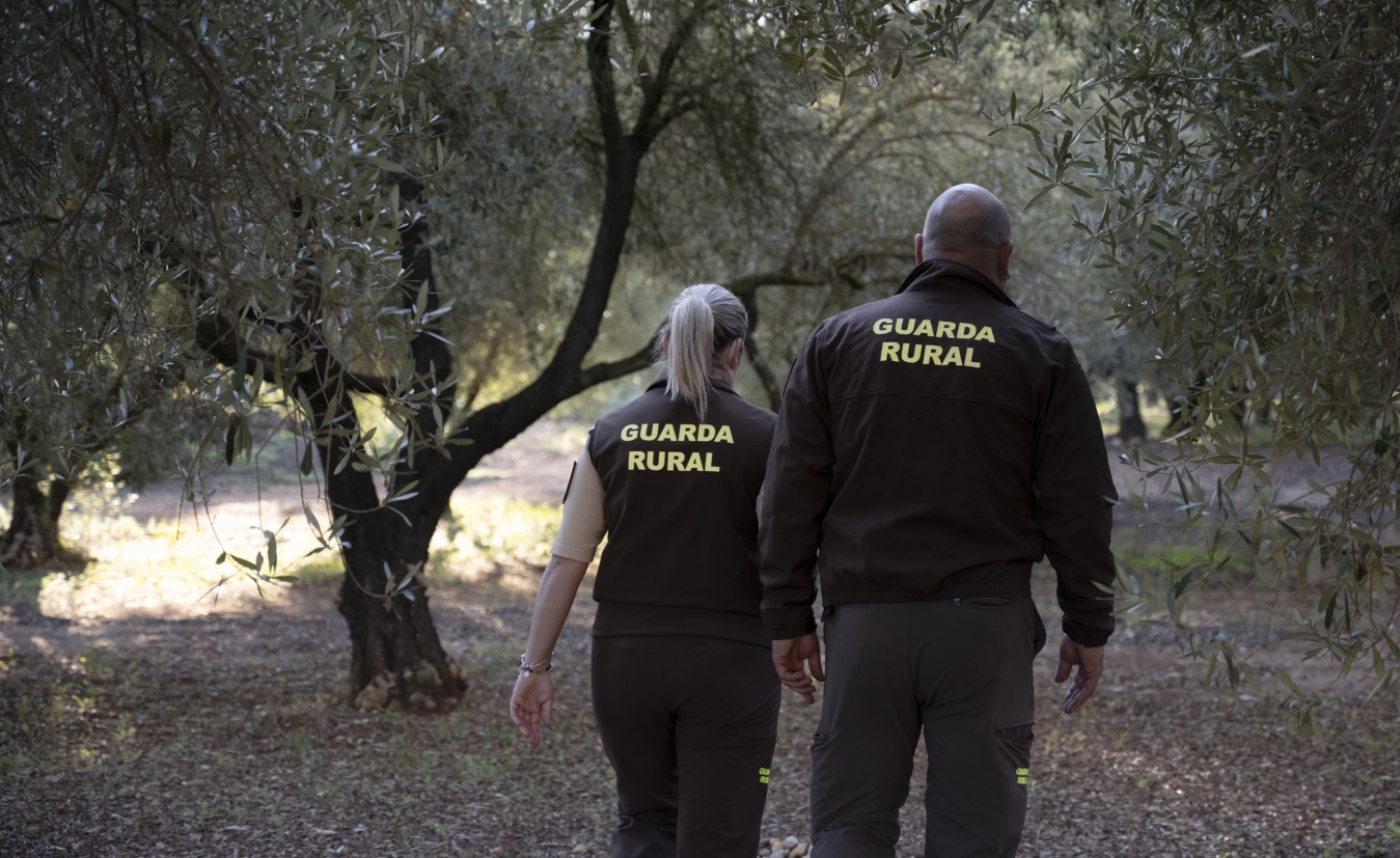 La Diputación de Castellón apuesta por la seguridad en el campo con la concesión de ayudas destinadas a 15 municipios para la contratación de guardas rurales