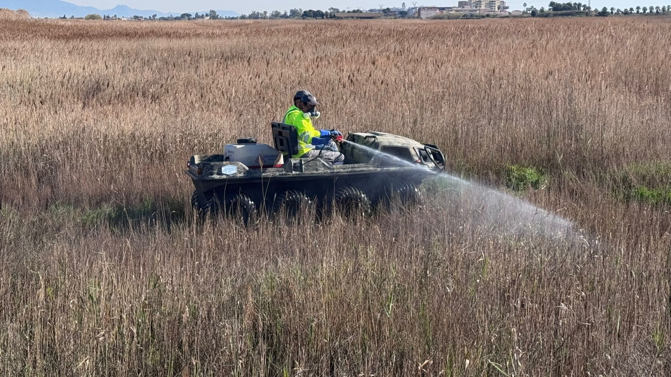 La Diputació de Castelló reforça els treballs de prevenció contra els mosquits en la zona del litoral