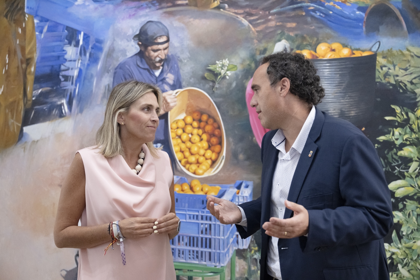 La Diputación de Castellón incrementa hasta los 250.000 euros las ayudas para fomentar el control poblacional de colonias felinas y el bienestar animal