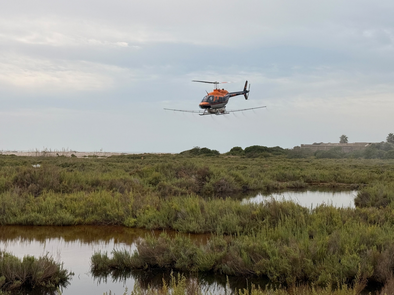 La Diputación de Castellón intensifica los tratamientos contra los mosquitos por vía aérea y terrestre